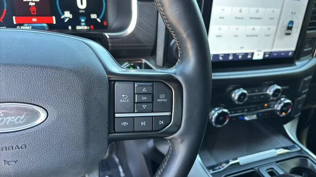 Used 2023 Blue Ford Platinum image 24