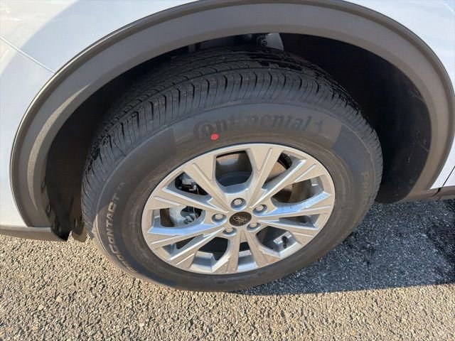 New 2026 Oxford White Ford Active® image 7