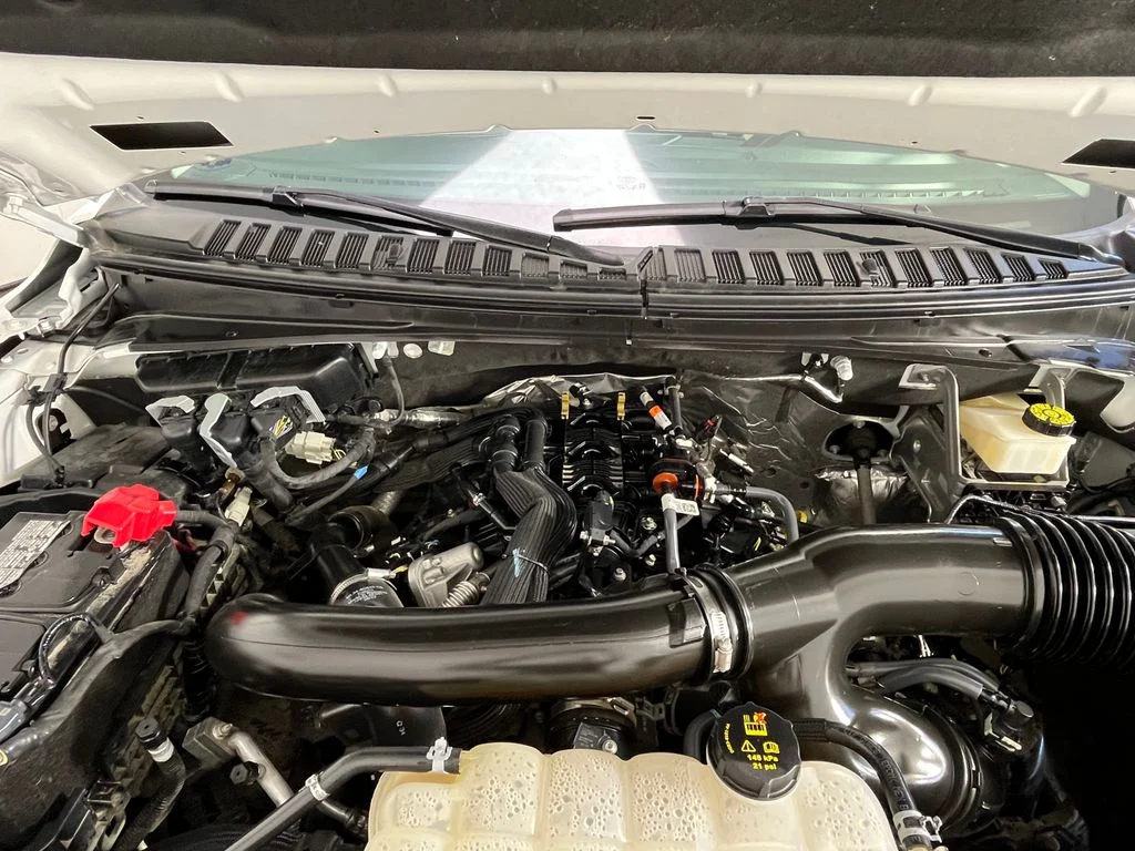 Used 2022 White Ford Platinum image 19