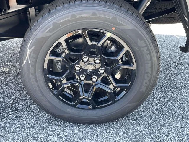 New 2026 Gray Ford STX image 7
