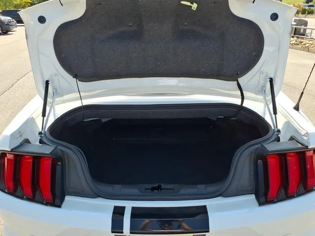 Used 2023 White Ford GT Premium image 12