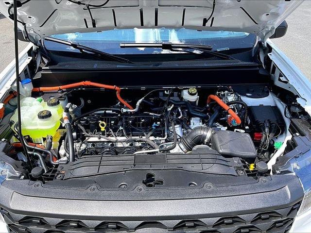 New 2026 White Ford XLT image 12