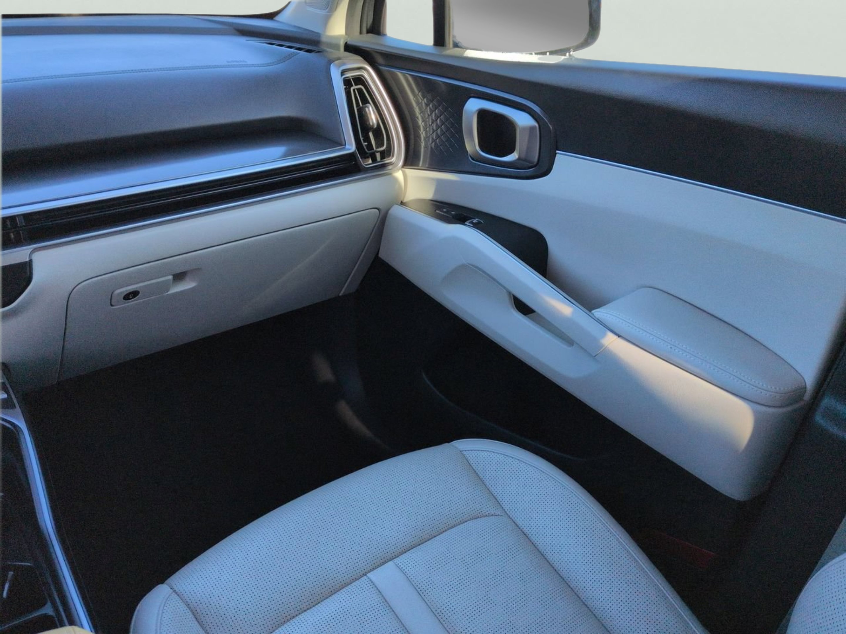 Used 2025 Panthera Metal Kia S image 15
