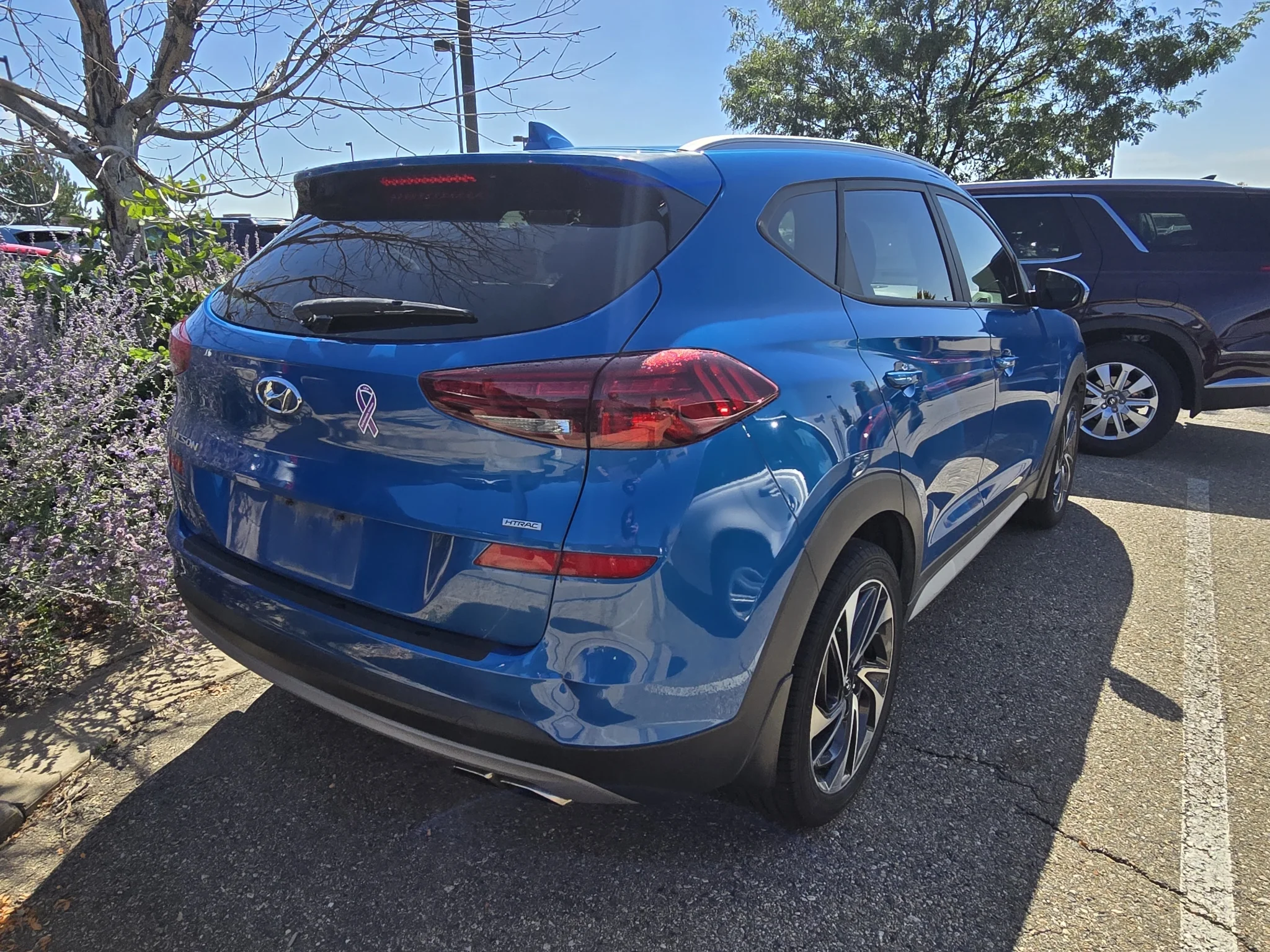 Used 2020 Aqua Blue Hyundai Sport image 5