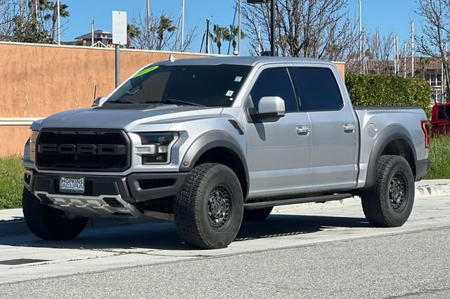 2019 Ford F-150 Raptor - Photo 8