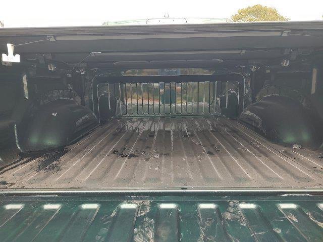 New 2026 Serrano-Green Metallic Exterior Paint RAM LONE STAR image 31