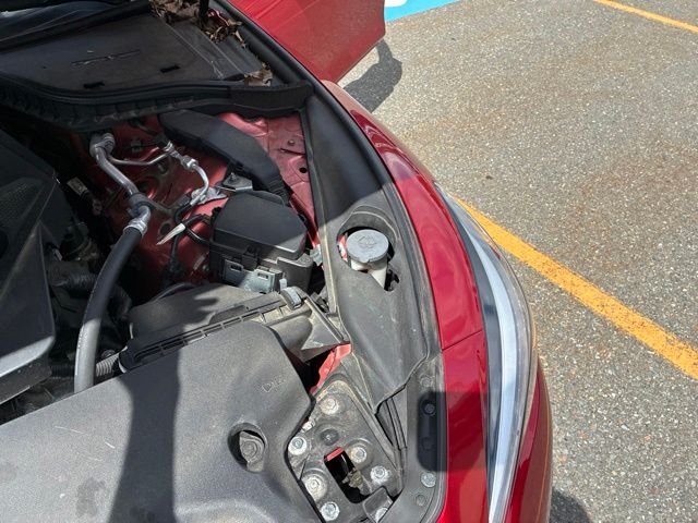Used 2023 Red INFINITI LUXE image 18
