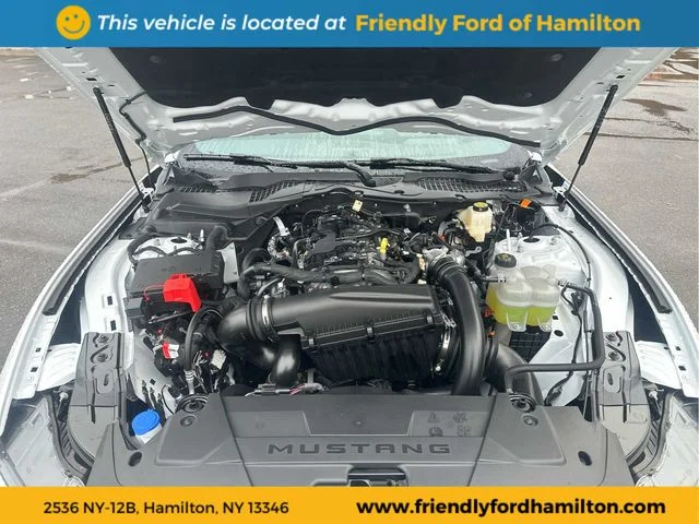 New 2026 Oxford White Ford EcoBoost® Premium Fastback image 48