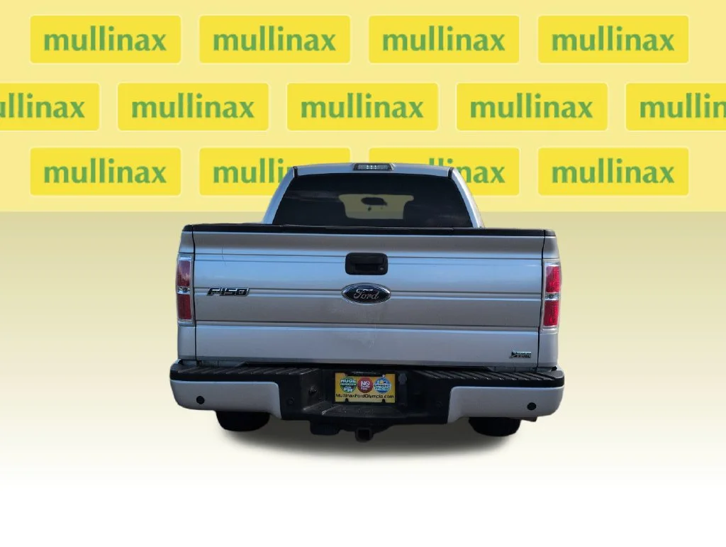 Used 2010 Silver Ford FX4 image 27