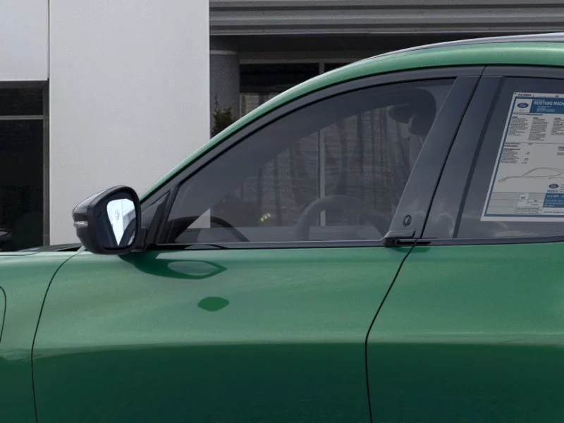 New 2026 Eruption Green Metallic Ford Premium image 19