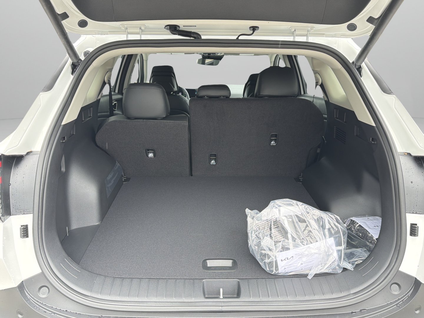 New 2027 Snow White Pearl Kia EX image 21