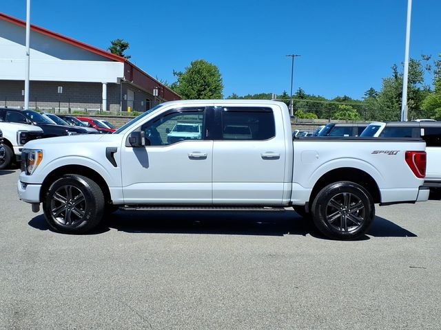 1FTEW1EP6MKD10650