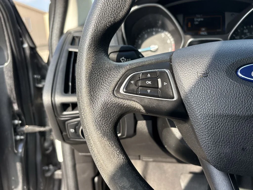 Used 2018 Magnetic Ford S image 16