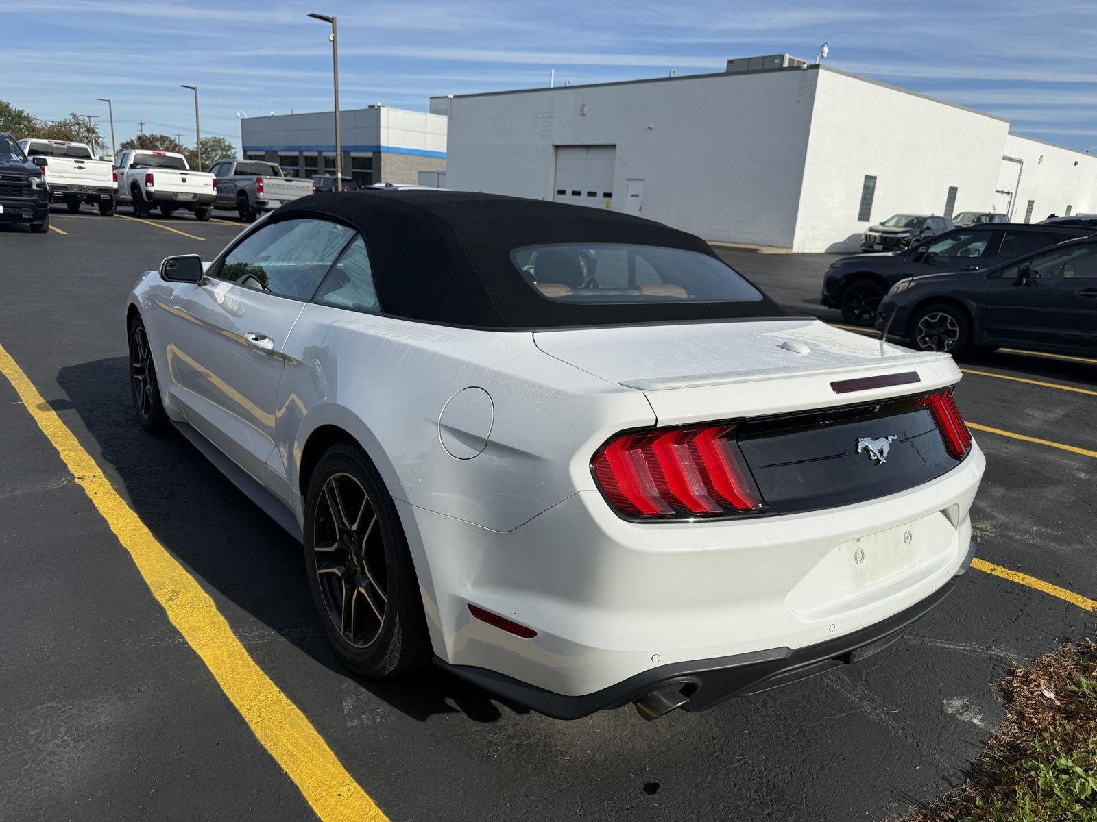Used 2019 Oxford White Ford EcoBoost Premium image 3