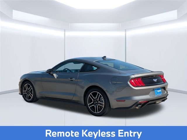 Used 2022 Gray Ford EcoBoost Premium image 4