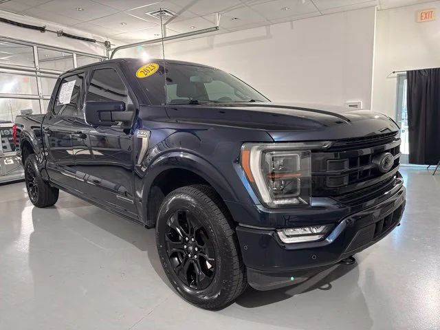 Used 2023 Blue Ford Platinum image 1