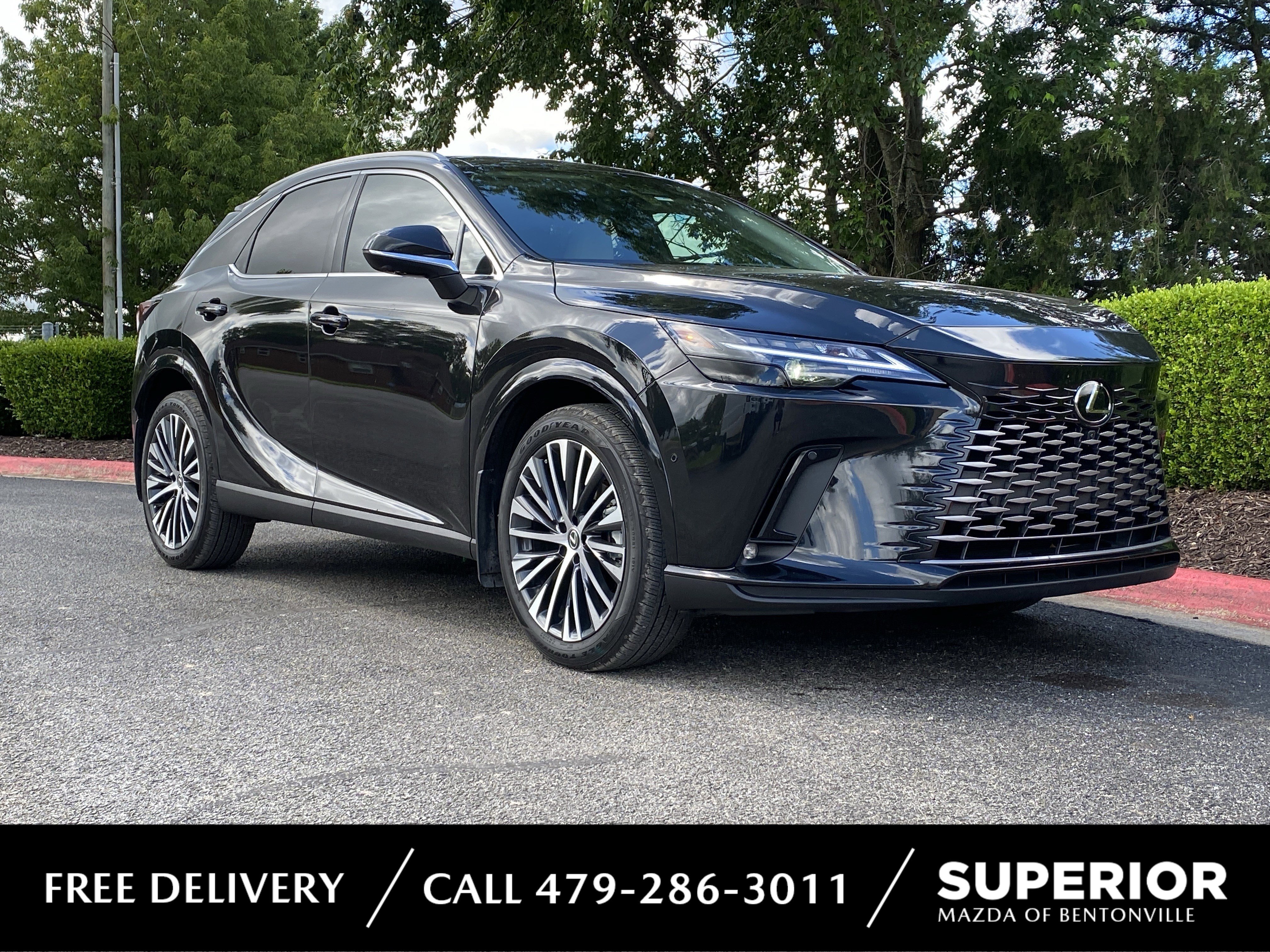 2025 Lexus RX 350 350 Premium Plus AWD's photo