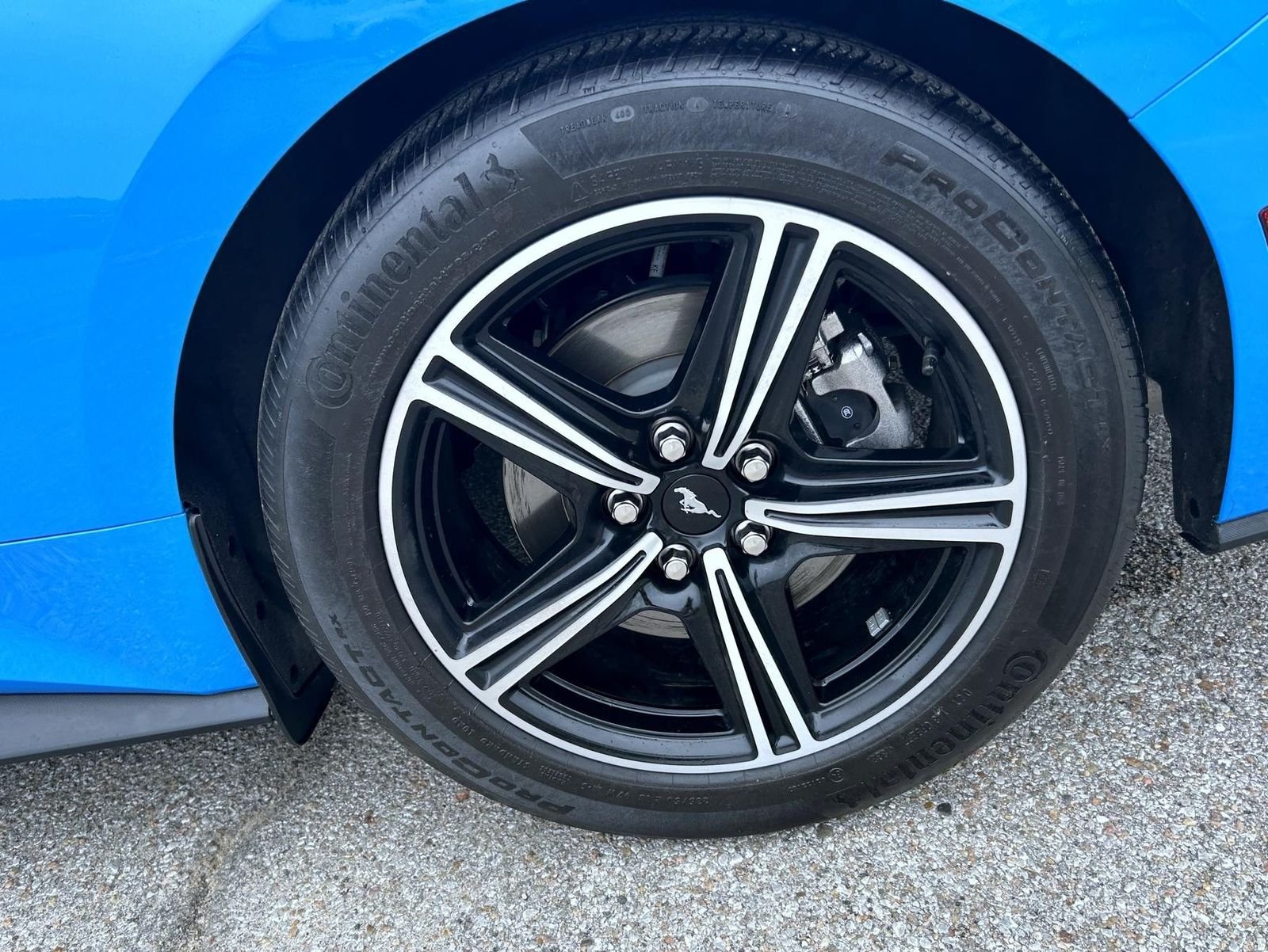 Used 2024 Blue Ford EcoBoost Premium image 20