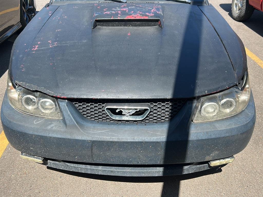Used 2002 Black Ford Base image 5