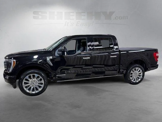 Used 2023 Agate Black Metallic Ford Limited image 16