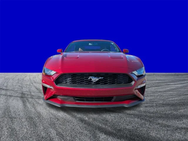 Certified Used 2018 Ruby Red Metallic Ford EcoBoost Premium image 9