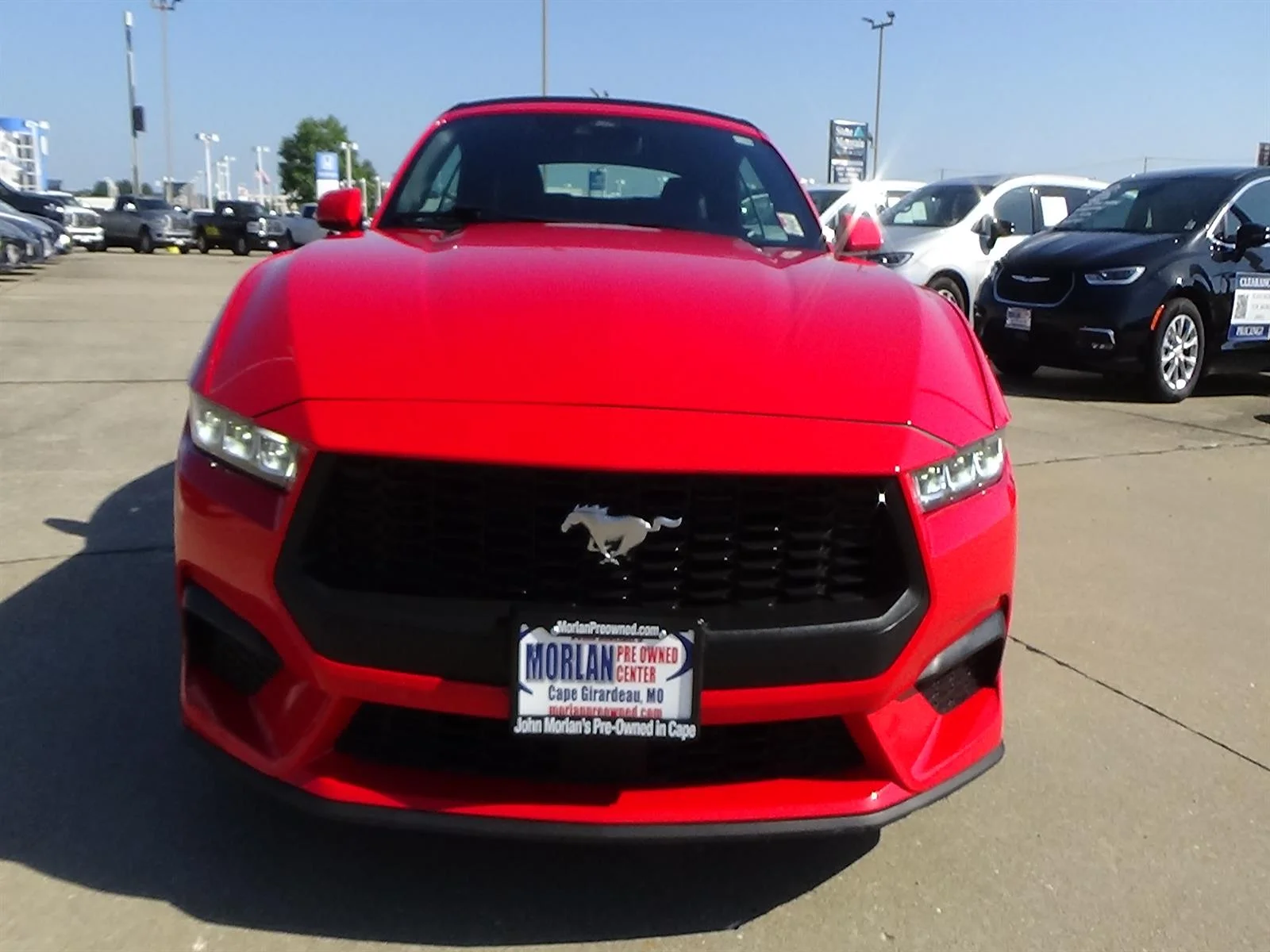 Certified Used 2024 Race Red Ford EcoBoost Premium image 5