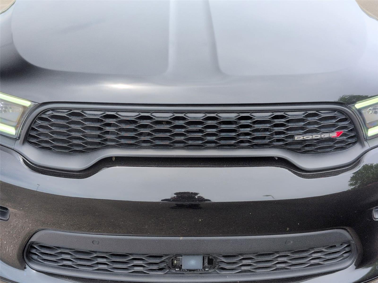Used 2025 DB Black Clearcoat Dodge GT Plus image 14