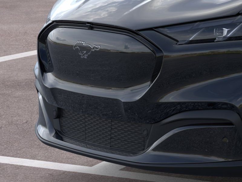 New 2026 Shadow Black Ford Premium image 17