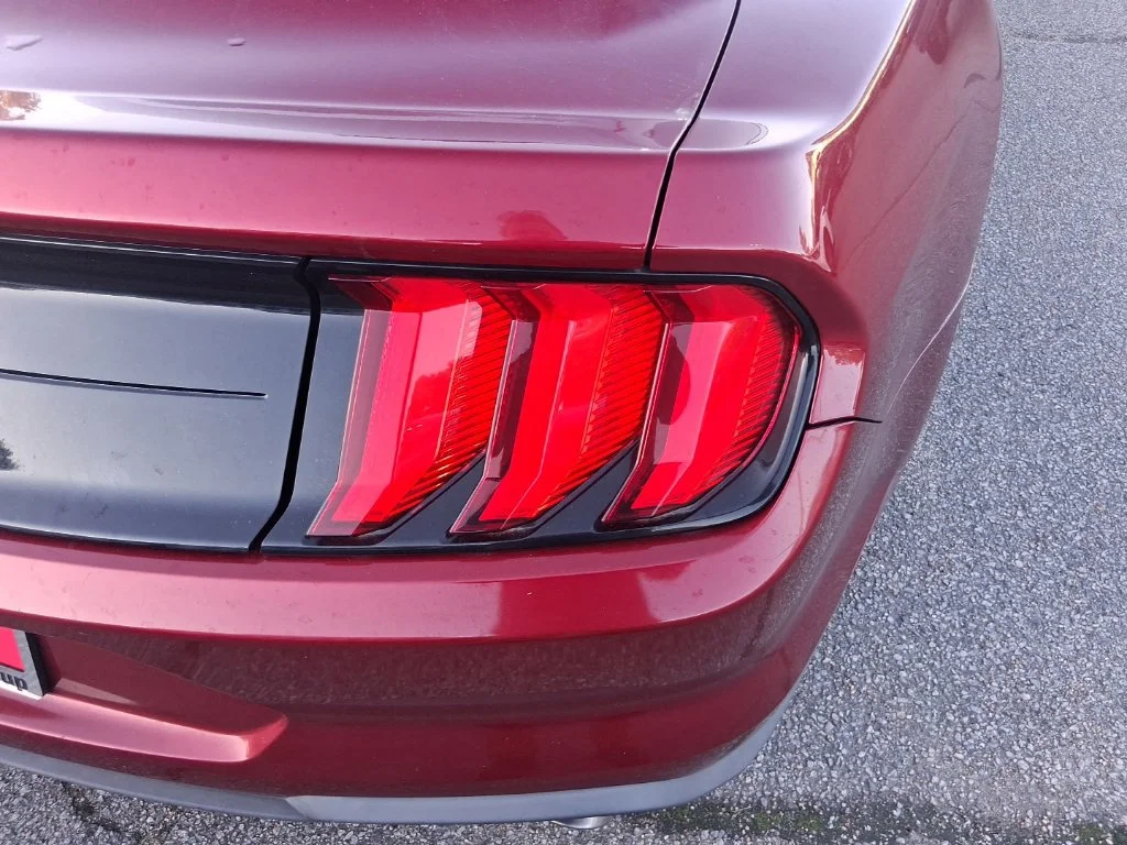 Used 2019 Red Ford EcoBoost image 15