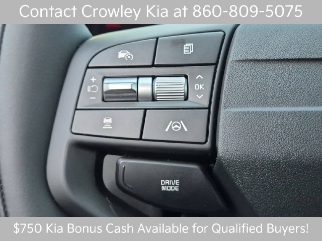 New 2027 Road Rider Brown / Black Roof Kia X-Line image 27