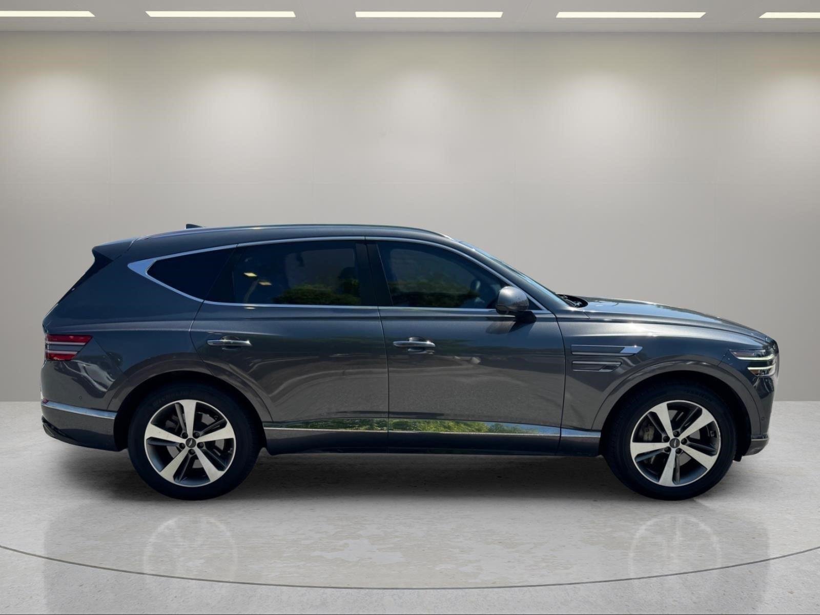 Used 2021 Himalayan Gray Genesis Advanced + image 6