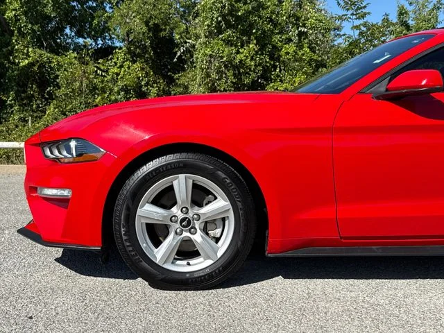 Used 2019 Red Ford EcoBoost image 5