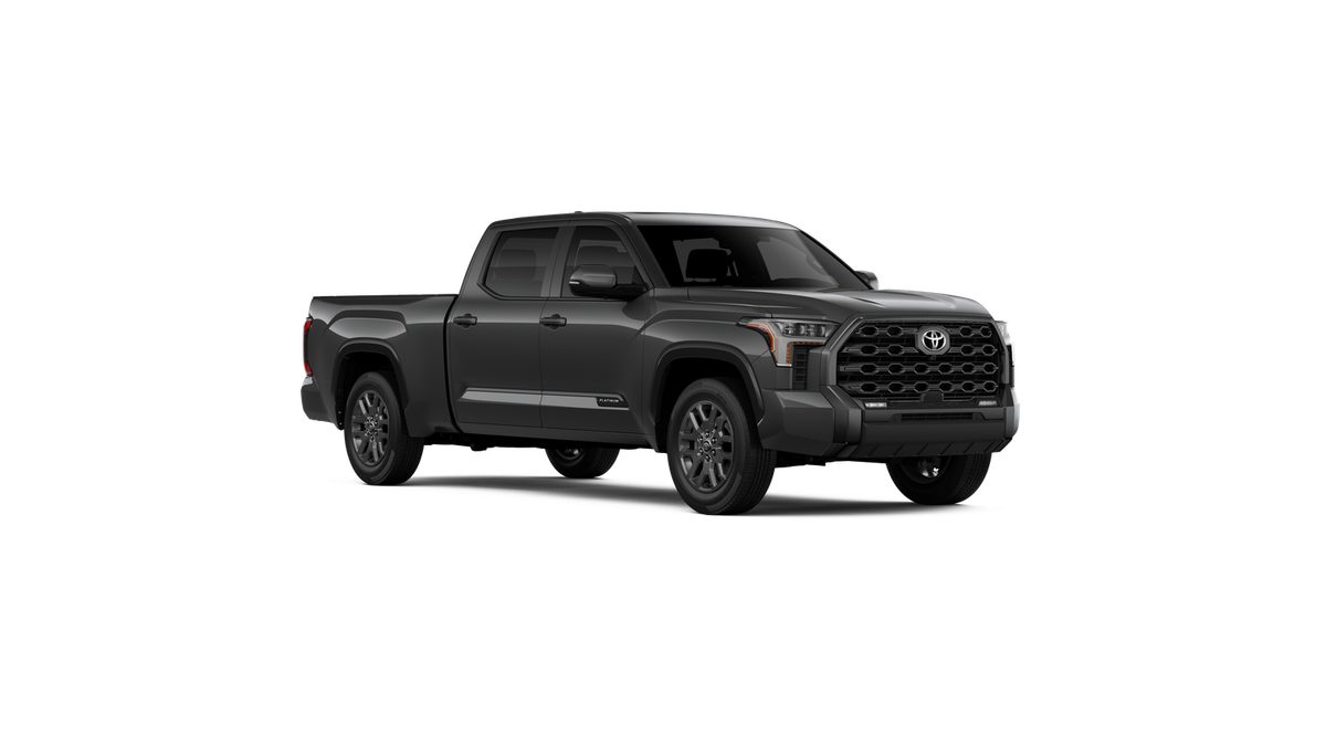 New 2026 Magnetic Gray Metallic Toyota Platinum image 37