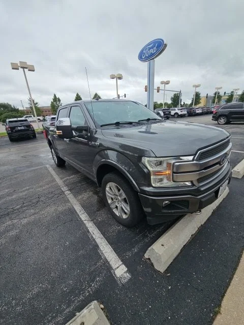 Used 2019 Magnetic Metallic Ford Platinum image 2