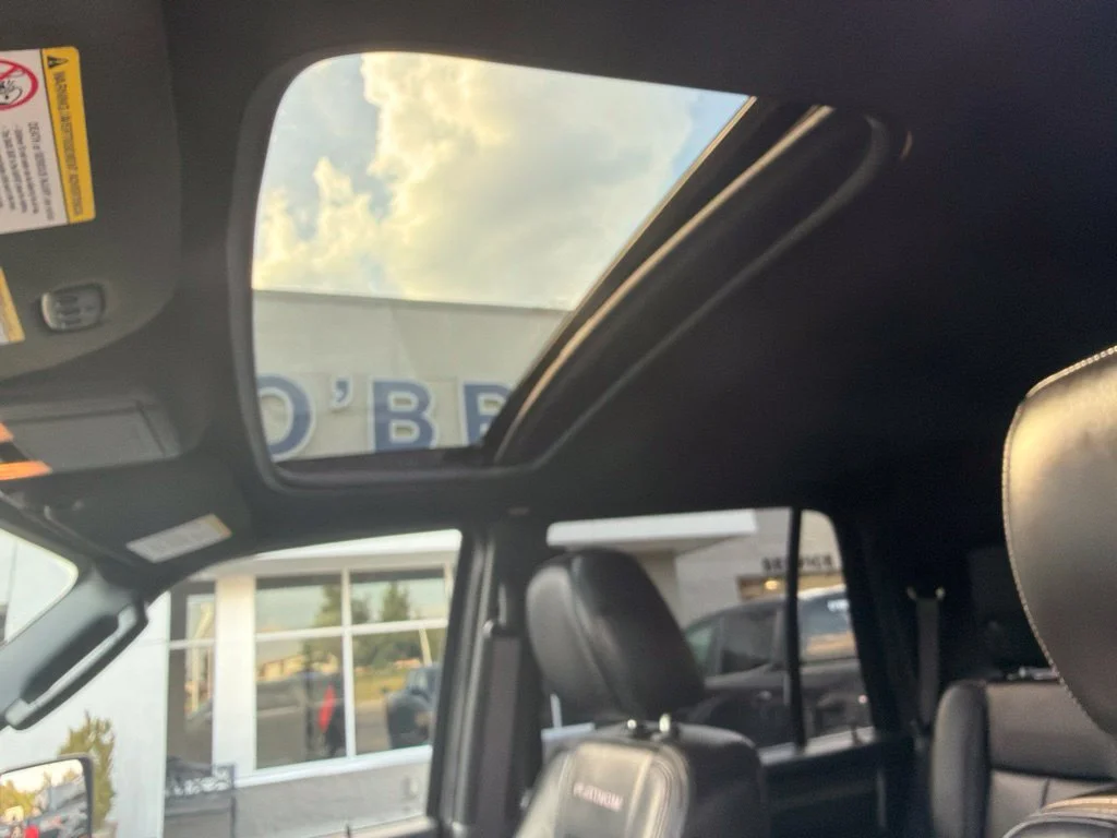 Used 2016 Magnetic Metallic Ford Platinum image 21
