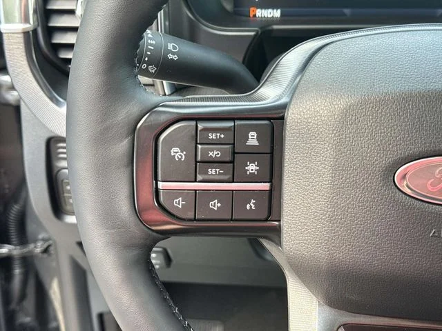New 2026 Carbonized Gray Metallic Ford F-250® Platinum® image 32