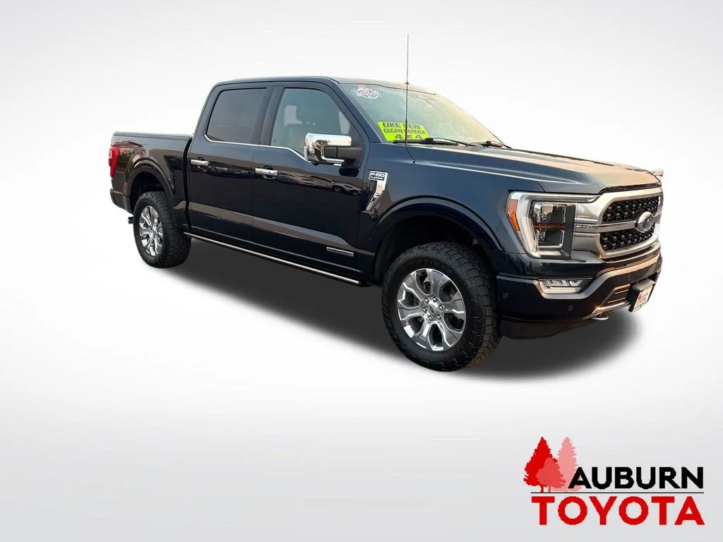 Used 2023 Blue Metallic Ford Platinum image 3