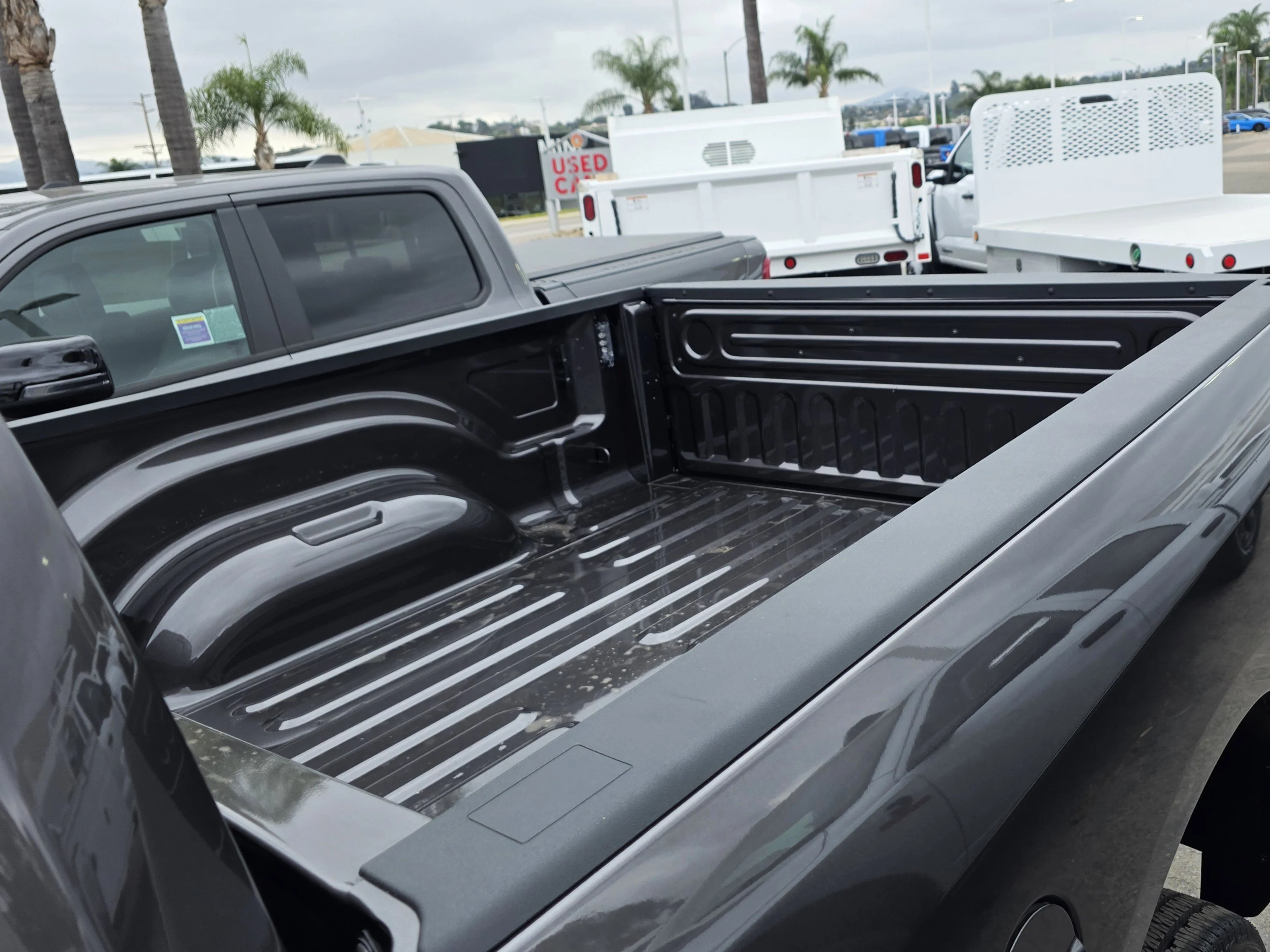 New 2026 Crystal Metallic RAM Tradesman image 16