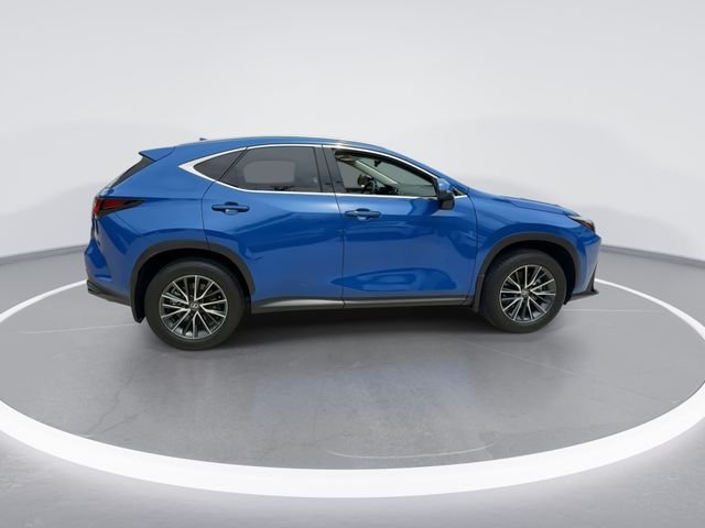 2025 Lexus NX 250 - Photo 8