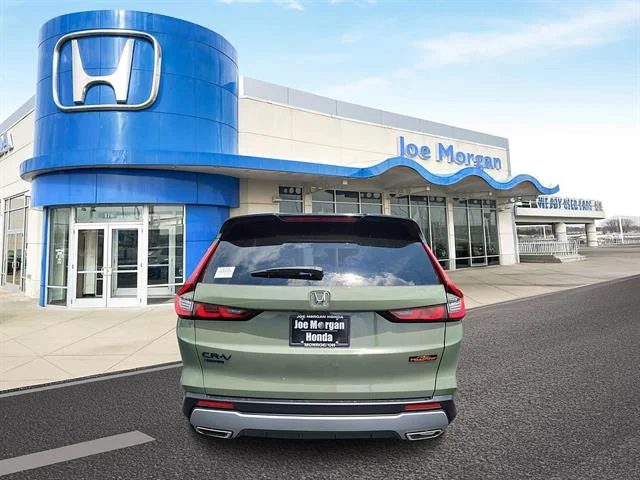 New 2026 Ash Green Metallic Honda TrailSport image 4