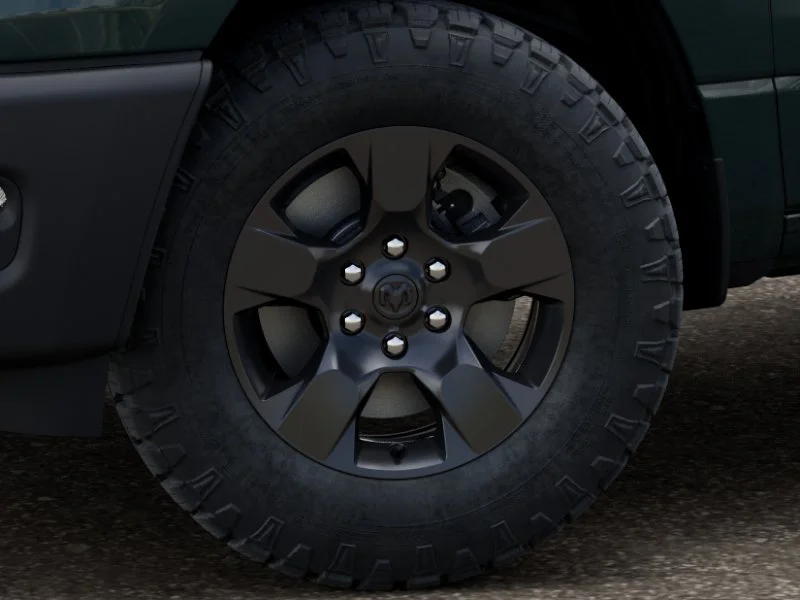 New 2026 Serrano-Green Metallic Exterior Paint RAM  image 4