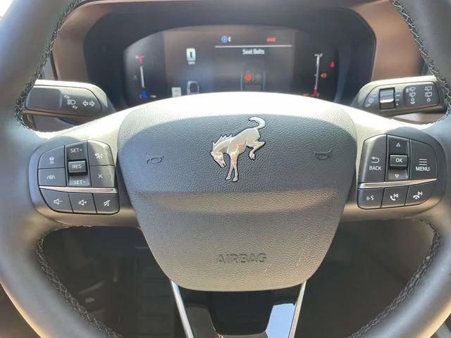 New 2026 Gray Ford Outer Banks image 11