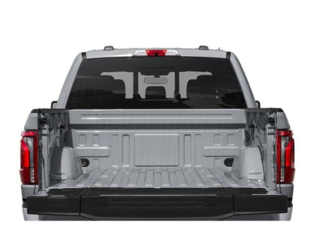 Used 2024 Blue Ford Platinum image 10