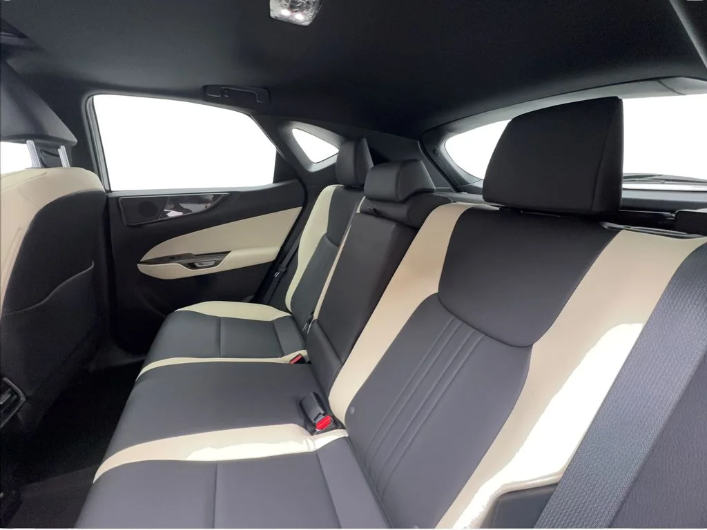 Used 2024 Red Lexus 250 Premium image 26