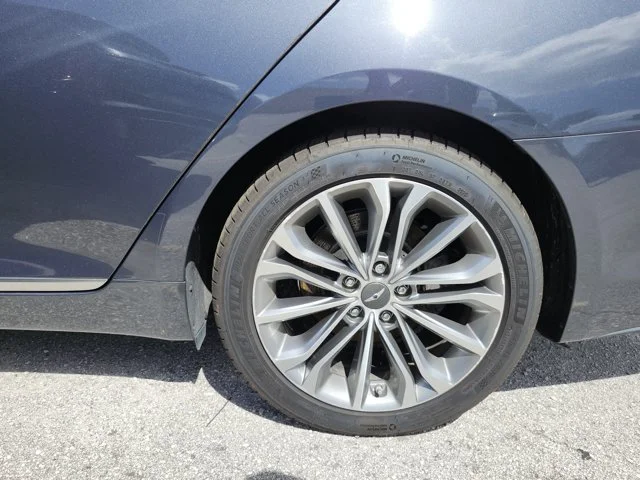 Used 2017 Blue Genesis 3.8 image 10