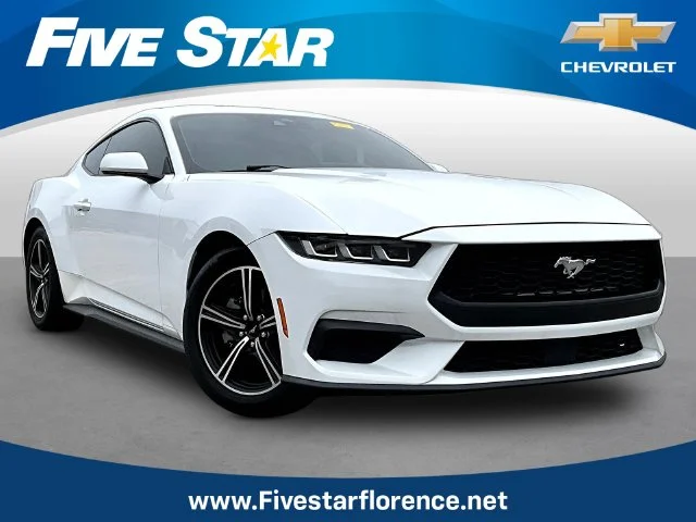 Used 2024 White Ford EcoBoost Premium image 1