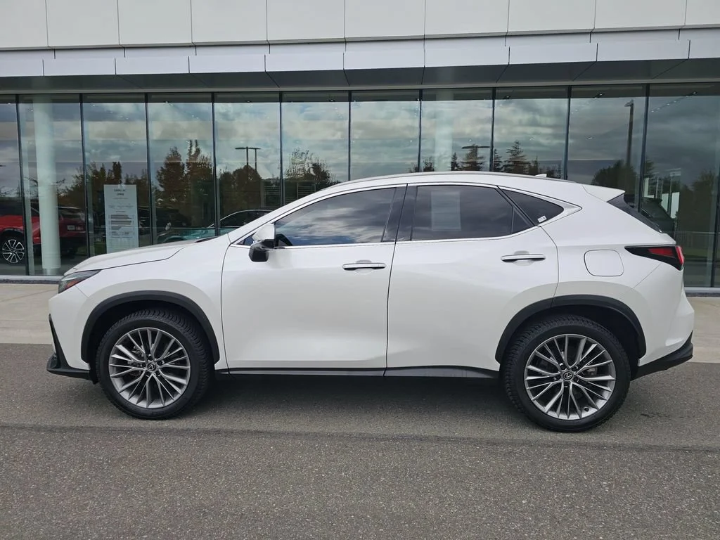 Used 2024  Lexus NX 350 Luxury image 4
