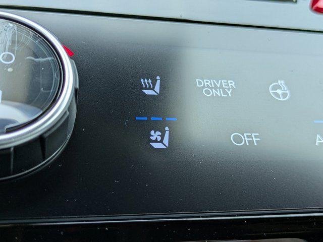 New 2026 Earthy Brass Matte Hyundai Calligraphy image 58