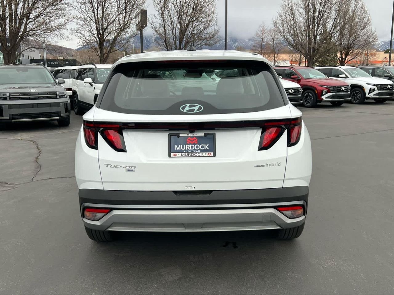 New 2026 Creamy White Pearl Hyundai Blue image 9