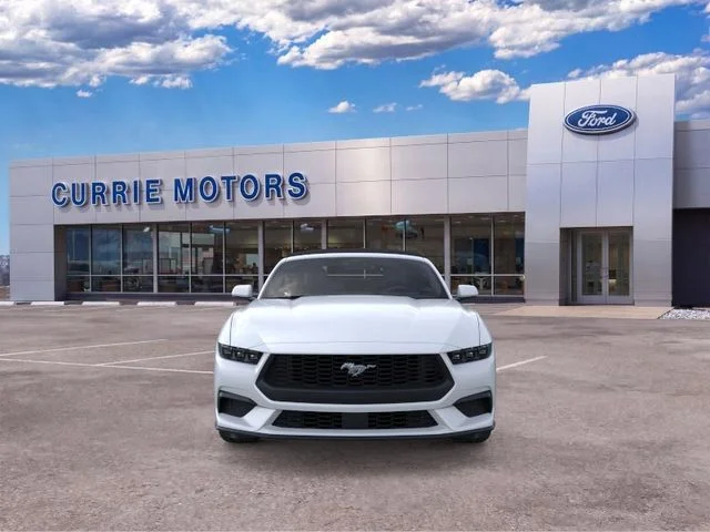 New 2026 Oxford White Ford EcoBoost image 28